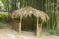 The tropical hut in a bamboo grove