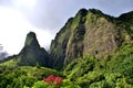 Tropical Iao Needle Valley Park