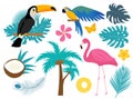 Tropical icon set with birds and flowers, flat, cartoon style. Exotic collection of design elements with toucan, parrot Royalty Free Stock Photo