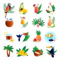 Tropical Icon Set Royalty Free Stock Photo