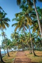 Tropical Indian village in Varkala, Kerala, India Royalty Free Stock Photo