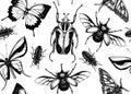 Tropical Insects Seamless Pattern. Vector Backdrop With Hand Drawn Beetles And Butterflies. Vintage Entomological Background.