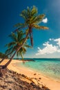 Tropical island in Bahamas. View on the beach with palm tree. Royalty Free Stock Photo