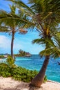 Tropical island in Bahamas. View on the beach with palm tree. Royalty Free Stock Photo