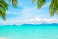 Tropical island beach background, exotic landscape, turquoise sea water, white sand, green palm tree leaves, sun blue sky clouds Royalty Free Stock Photo