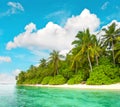 Tropical island beach with palm trees blue sky Royalty Free Stock Photo