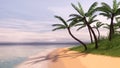Tropical island beach with palm trees casting shadows on the sand. 3D illustration