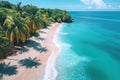 tropical island with beach and palm trees on coast in sea. Top aerial view above drone Royalty Free Stock Photo