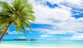 Tropical island beach panorama, green palm tree leaves, turquoise sea water, exotic nature landscape, summer holidays, vacation Royalty Free Stock Photo