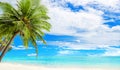 Tropical island beach panorama, green palm tree leaves, turquoise sea water, exotic nature landscape, summer holidays, vacation Royalty Free Stock Photo