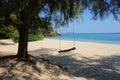 Tropical Island Beach Swing on Tree Royalty Free Stock Photo