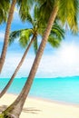 Tropical island beach view, exotic beautiful nature landscape, turquoise sea, ocean water, green palm tree leaves, white sand, sun Royalty Free Stock Photo