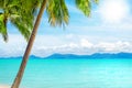 Tropical island beach view, exotic beautiful nature landscape, turquoise sea, ocean water, green palm tree leaves, white sand, sun Royalty Free Stock Photo