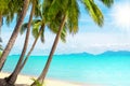 Tropical island beach view, exotic beautiful nature landscape, turquoise sea, ocean water, green palm tree leaves, white sand, sun Royalty Free Stock Photo