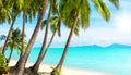 Tropical island beach view, exotic beautiful nature landscape, turquoise sea, ocean water, green palm tree leaves, white sand, sun Royalty Free Stock Photo