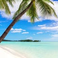 Tropical Island Beach View, Green Palm Tree Leaves, Turquoise Sea Water, Exotic Nature Landscape, Summer Holidays Vacation, Travel