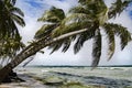 Tropical island with bowed palms, stormy weather, Caribbean sea, Panama