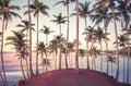 Tropical island with coconut palm trees at sunrise, long exposure, color toning applied, Sri Lanka