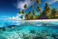 Tropical island with coconut palms and underwater coral reef. Split view with waterline Royalty Free Stock Photo