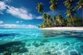 Tropical island with coconut palms and underwater coral reef. Split view with waterline Royalty Free Stock Photo