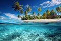 Tropical island with coconut palms and underwater coral reef. Split view with waterline Royalty Free Stock Photo