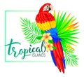 Tropical island composition with parrot leaves flowers Royalty Free Stock Photo