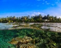 Tropical Island Coral Reef