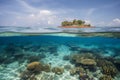 Tropical island and cristal clear water of maldives. Half underwater