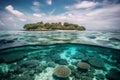 Tropical island and cristal clear water of maldives. Half underwater