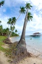 Tropical island getaway Royalty Free Stock Photo