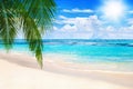 Tropical island landscape, exotic sand beach, turquoise sea water ocean waves, green palm tree leaves, summer holidays, vacation, Royalty Free Stock Photo