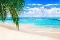 Tropical island landscape, exotic sand beach, turquoise sea water ocean waves, green palm tree leaves, summer holidays, vacation, Royalty Free Stock Photo