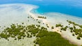 Tropical island with mangroves and turquoise lagoons on a coral reef, top view.Fraser Island, seascape Honda Bay