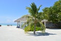 Tropical Island with Palm Tree on Maldives Beach Royalty Free Stock Photo