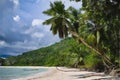 Tropical island and palm trees. Baie Lazare beach Mahe Island Seychelles.