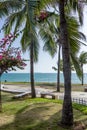 Tropical island with palm trees and beautiful promenade and beach and turquoise sea and a blue sky Royalty Free Stock Photo