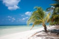 Tropical Island Paradise Royalty Free Stock Photo