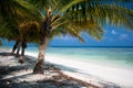 Tropical Island Paradise Royalty Free Stock Photo