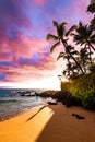 Tropical Island Paradise Beach Shore in Maui Hawaii Royalty Free Stock Photo