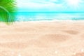 Tropical island paradise beach, green coconut palm tree leaf, sand, blue sea, water ocean, summer holidays, vacation, travel Royalty Free Stock Photo