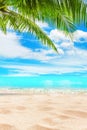 Tropical island paradise beach, green palm tree leaf, sand, blue sea water turquoise ocean, summer holidays, vacation, travel Royalty Free Stock Photo