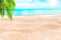 Tropical island paradise beach, green palm tree leaf, sand, blue sea water turquoise ocean, summer holidays, vacation, travel Royalty Free Stock Photo