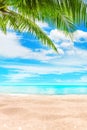 Tropical island paradise beach, green palm tree leaf, sand, blue sea water turquoise ocean, summer holidays, vacation, travel Royalty Free Stock Photo