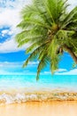 Tropical island paradise beach nature, blue sea wave, ocean water, green coconut palm tree leaves, sand, sun, sky, white clouds Royalty Free Stock Photo