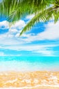 Tropical island paradise beach nature, blue sea wave, ocean water, green coconut palm tree leaves, sand, sun, sky, white clouds Royalty Free Stock Photo
