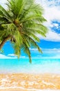 Tropical Island Paradise Beach Nature, Blue Sea Wave, Ocean Water, Green Coconut Palm Tree Leaves, Sand, Sun, Sky, White Clouds