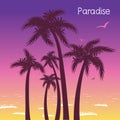 Tropical island paradise with palms silhouette in summer hot evening Royalty Free Stock Photo