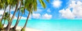 Tropical island paradise sea beach, ocean water, palm tree, sand, sun sky cloud, beautiful panorama landscape, summer holidays Royalty Free Stock Photo