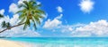 Tropical island paradise sea beach, ocean water, palm tree, sand, sun sky cloud, panorama landscape, Caribbean, Maldives, Thailand Royalty Free Stock Photo