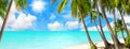 Tropical island paradise sea beach, ocean water, palm tree, sand, sun sky cloud, beautiful panorama landscape, summer holidays Royalty Free Stock Photo